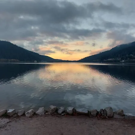 Cosy & Confort Spa,sauna,petanque,ve - Situation A Gerardmer